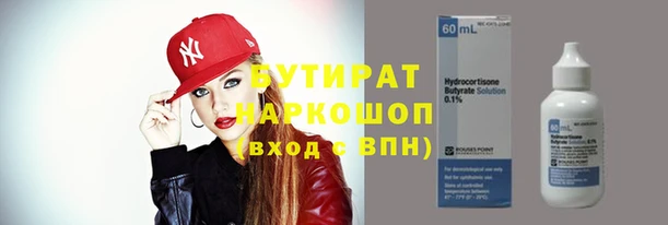 дживик Туринск