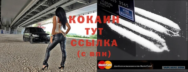 дживик Туринск