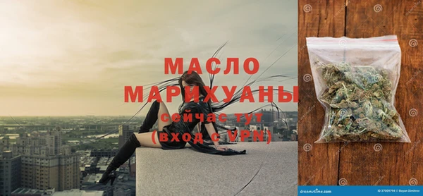 дживик Туринск