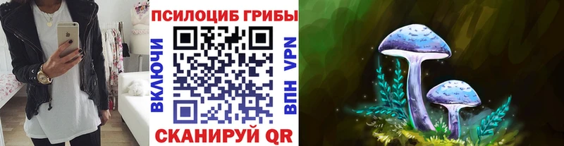 Псилоцибиновые грибы мицелий  Купить закладки  Черноголовка 