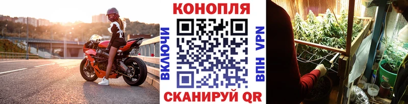 Купить закладки  Черноголовка  Канабис SATIVA & INDICA 